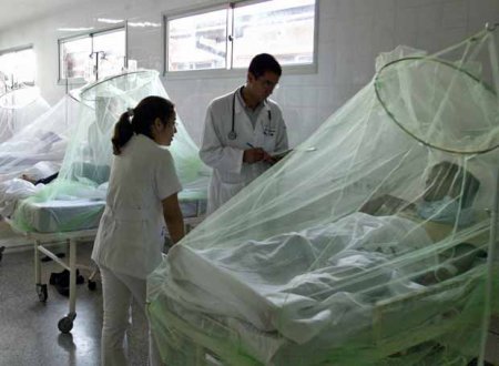 Лихорадка денге симптомы заболевания