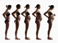 Развитие ребенка в третьем триместре беременности. (триместры беременности)