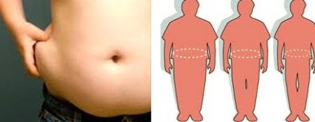 Что собой представляет метаболизм жиров