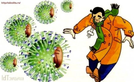 Что вызывает грипп? – Заболевания