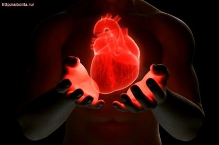 Укрепление сердечной мышцы