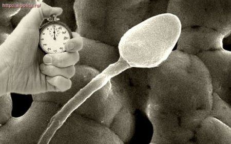 Снижение подвижности сперматозоидов - причины и лечение 