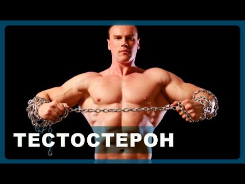 Повышение тестостерона у мужчин